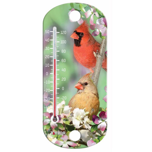 Taylor Bird Design Tube Thermometer Plastic Multicolored 8 in.