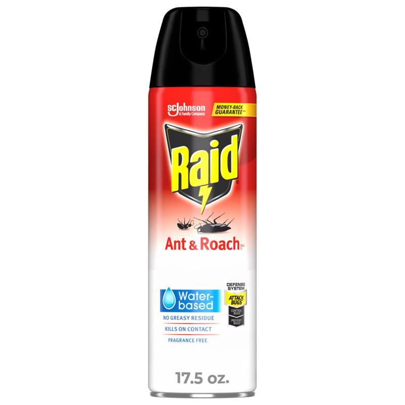 Raid Ant and Roach Killer Spray 17.5 oz