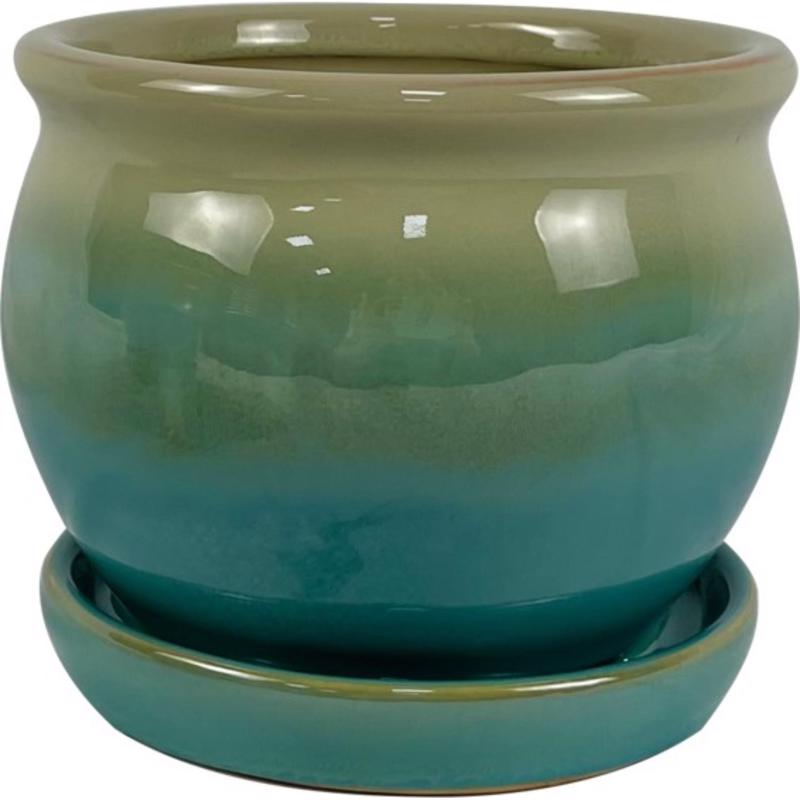 Border Concepts 5 in. H X 6 in. W Ceramic Archdale Planter Moss