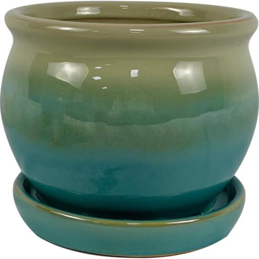 Border Concepts 5 in. H X 6 in. W Ceramic Archdale Planter Moss
