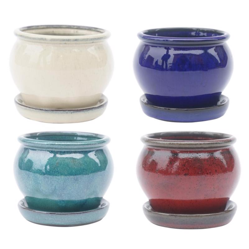 Border Concepts 4 in. D Ceramic Belly Planter Assorted