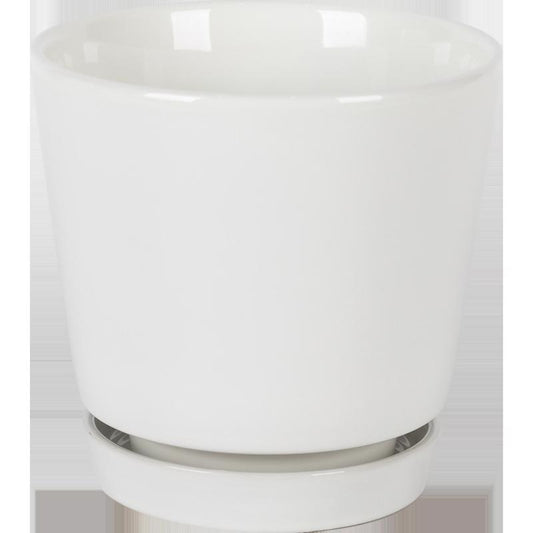 Border Concepts 4.5 in. D Ceramic Flair Saucer Planter White