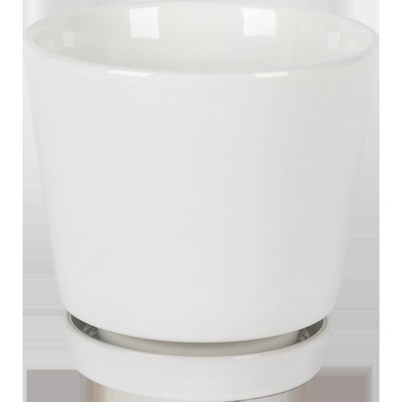 Border Concepts 8 in. D Ceramic Flair Saucer Planter White