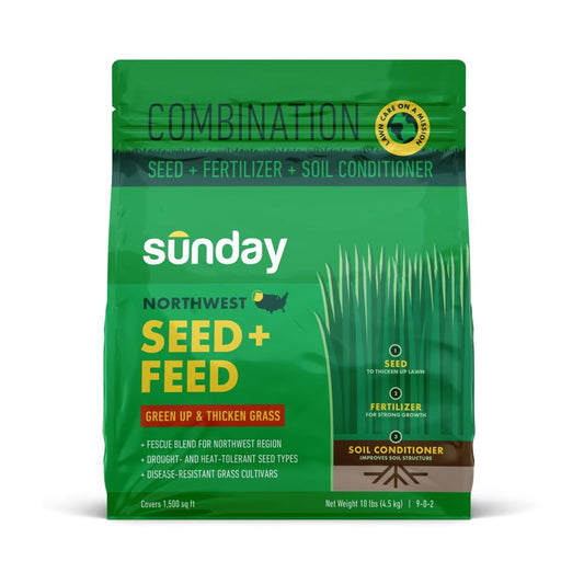 Sunday Tall Fescue Grass Dense Shade/Full Sun Fertilizer/Seed/Soil Improver 10 lb