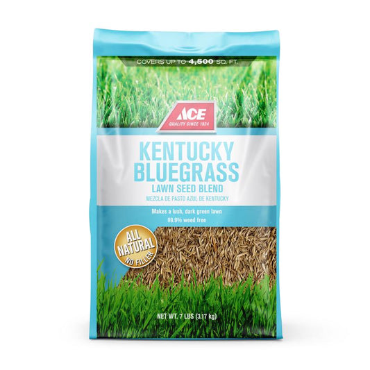 Ace Kentucky Bluegrass Full Sun Grass Seed 7 lb