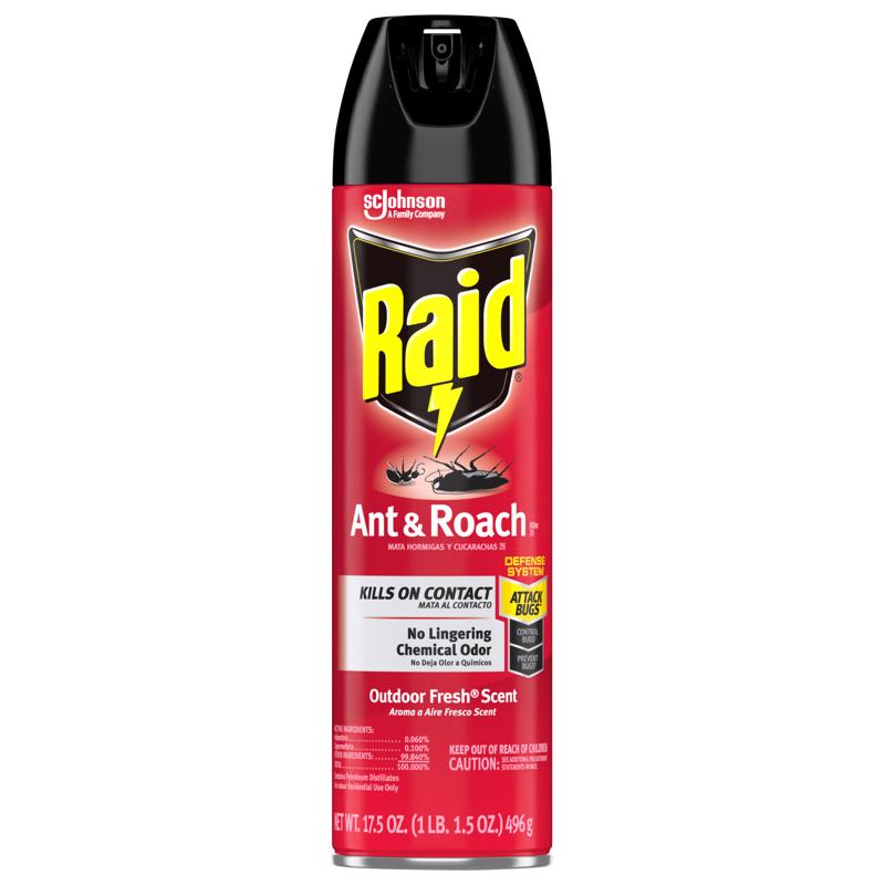 Raid Insect Killer Aerosol 17.5 oz