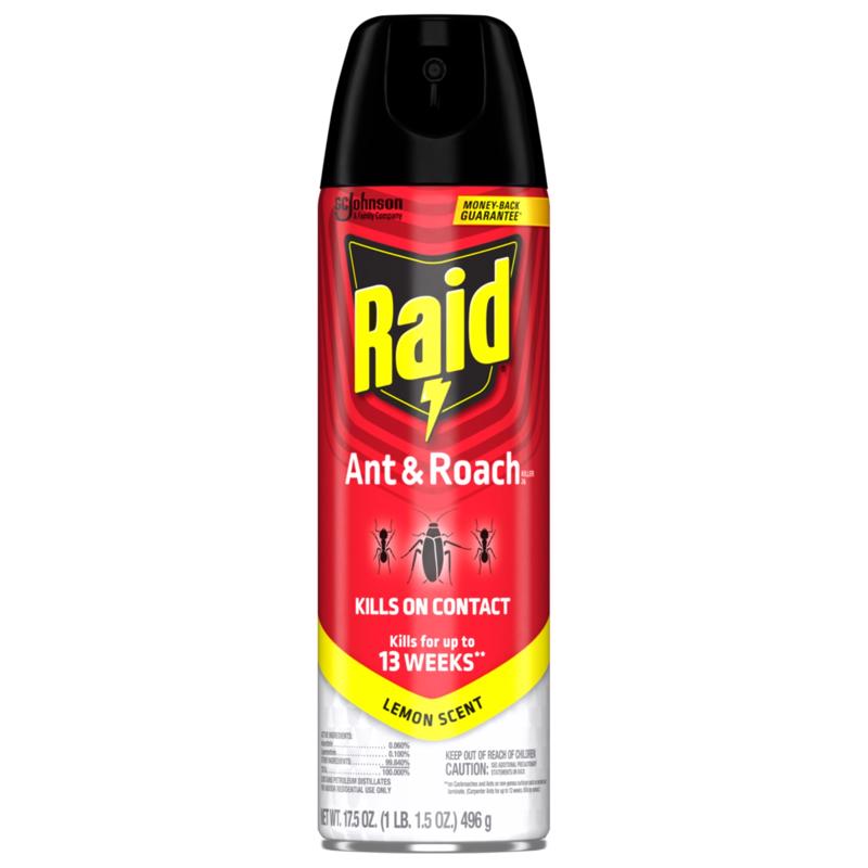 Raid Insect Killer Aerosol 17.5 oz