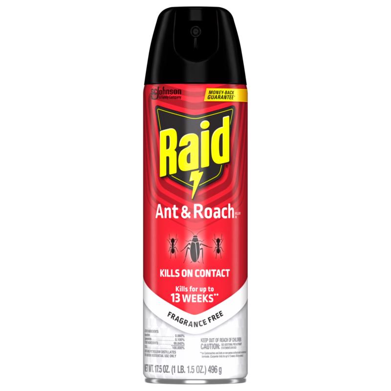 Raid Ant Killer Aerosol 17.5 oz