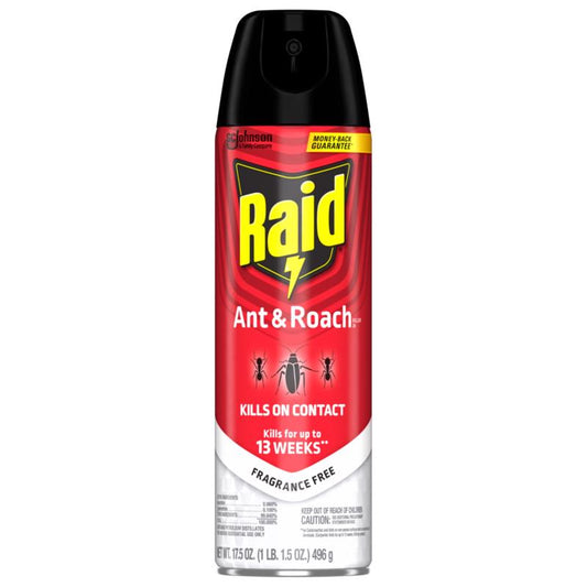 Raid Ant Killer Aerosol 17.5 oz