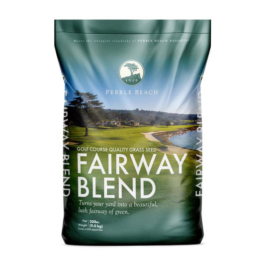 Barenbrug Pebble Beach Perennial Ryegrass Partial Shade/Sun Grass Seed 20 lb