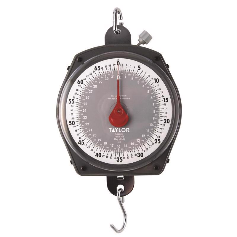 Taylor Silver Analog Hanging Scale 70 lb
