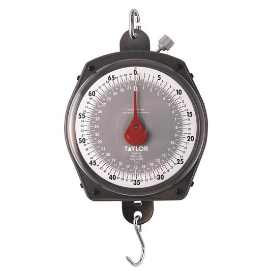 Taylor Silver Analog Hanging Scale 70 lb