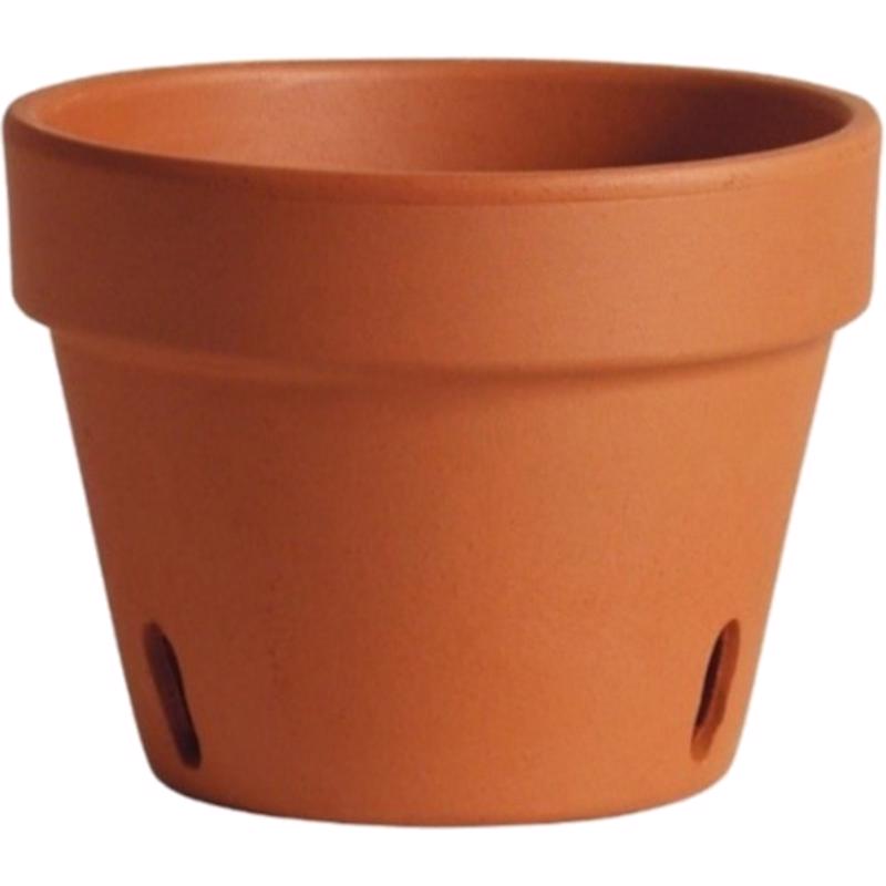 Deroma 3.8 in. H X 5.1 in. D Clay Orchid Planter Terracotta