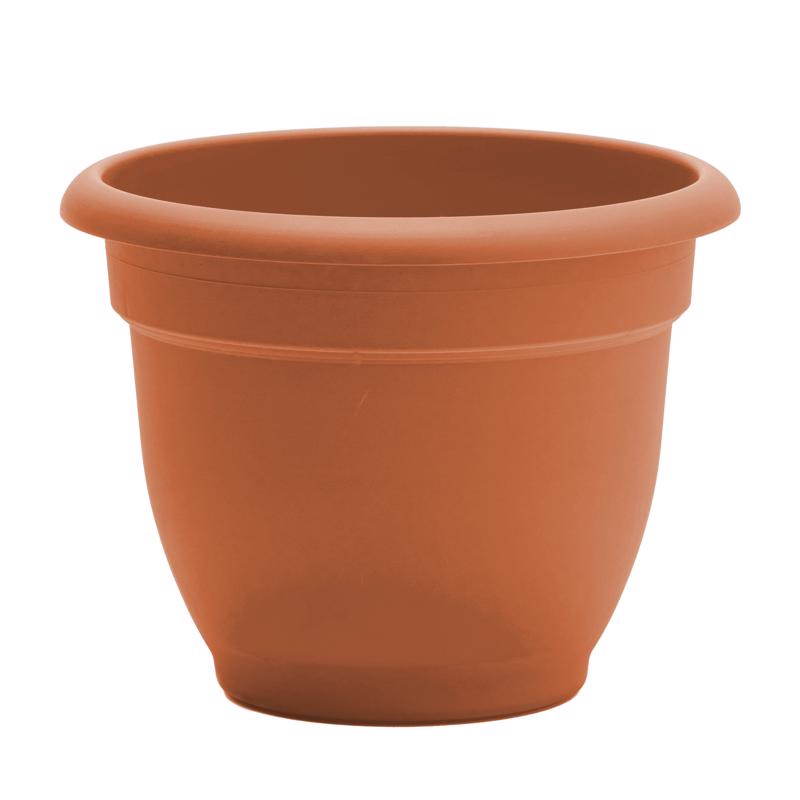 Bloem Ariana 7 in. H X 8.75 in. W Resin Traditional Planter Terracotta