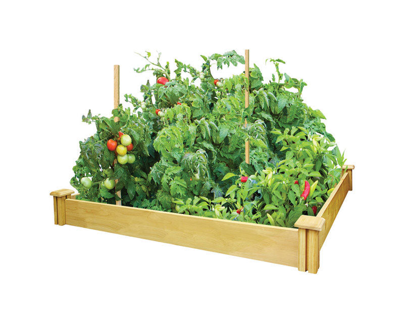 Greenes 5.5 in. H X 48 in. W Cedar Raised Bed Planter Brown