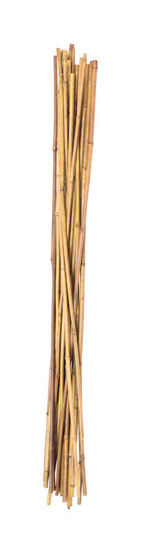 Panacea 60 in. H Brown Bamboo Plant Stake