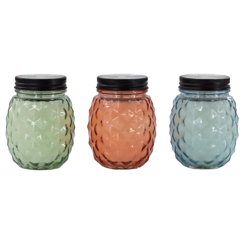 Patio Essentials Citronella Mason Jar Candle For Mosquitoes/Other Flying Insects 13 oz