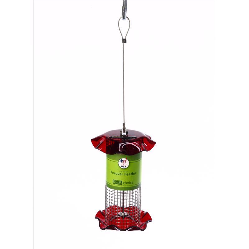 Birds Choice Forever Wild Bird 1 qt Plastic Magnet Mesh Tube Bird Feeder