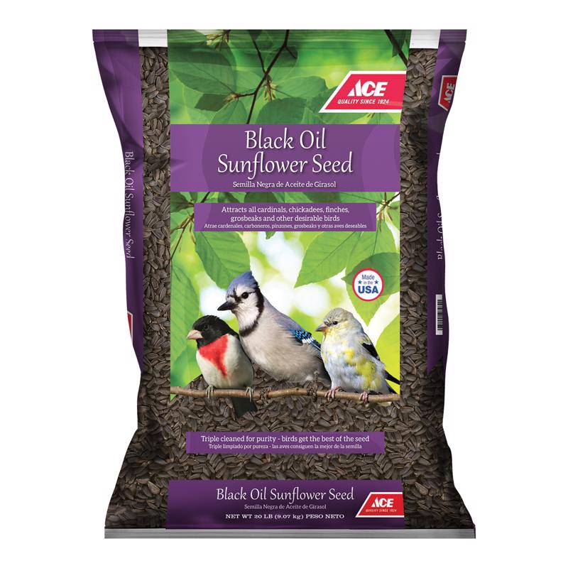 Ace Songbird Black Oil Sunflower Seed Wild Bird Seed 20 lb
