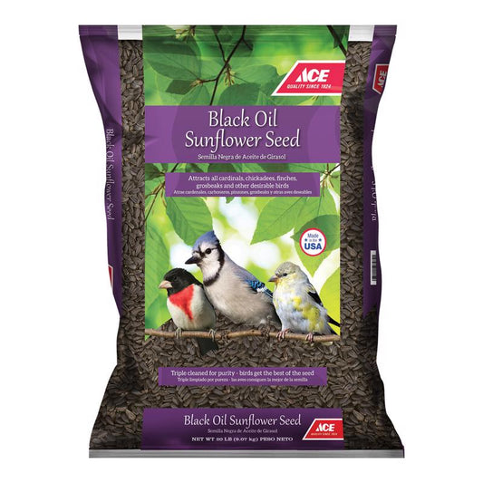 Ace Songbird Black Oil Sunflower Seed Wild Bird Seed 20 lb