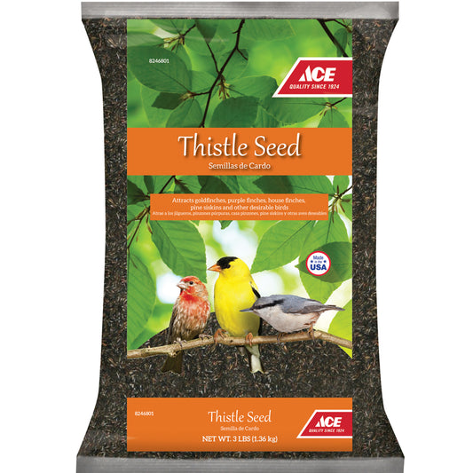 Ace Songbird Thistle Seed Wild Bird Food 3 lb