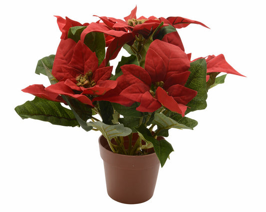 Decoris Red Potted Poinsettia 11 in.