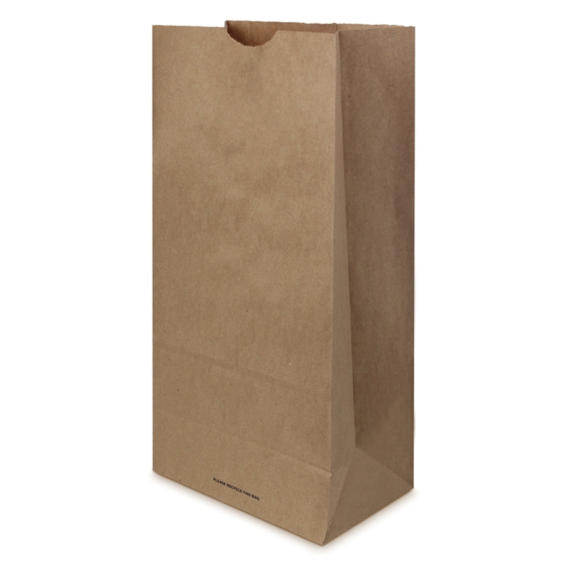 Recycled Paper Brown Shopping Bag 400 pk 13 in. H X 4 in. W X 6 in. L