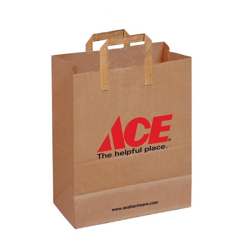 Recycled Paper Brown Shopping Bag with Handles 250 pk 17 in. H X 13 in. W X 7 in. L