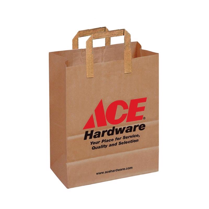Recycled Paper Brown Shopping Bag with Handles 250 pk 10 in. H X 8 in. W X 5 in. L