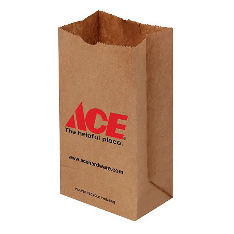 Recycled Paper Brown Shopping Bag 500 pk 9.75 in. H X 3.125 in. W X 5 in. L