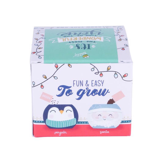 Buzzy Multicolored Chia Grow Kit Table Decor 2.25 in.