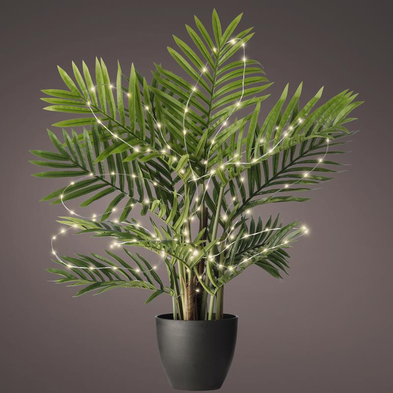 Lumineo Plant lights LED Micro Warm White 60 ct String Light String
