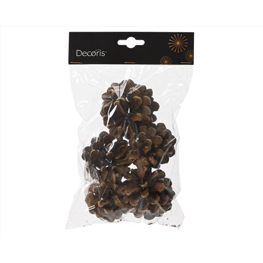 Decoris Set of 5 Pinecones 5.91 in.
