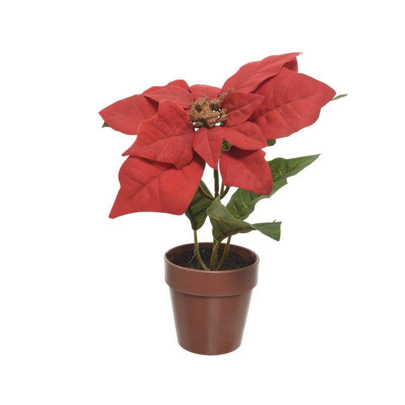 Decoris Red Poinsettia with Pot Table Decor 8 in.