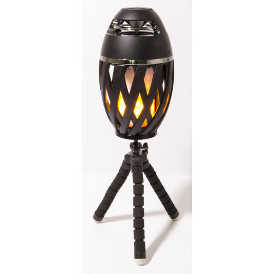 Home Plus Flame Lamp with Speaker